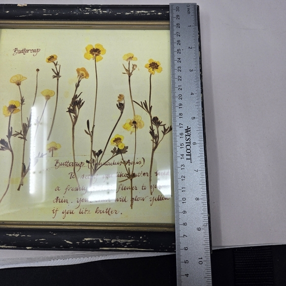 Creative Co-op Set Of 4 Beautifully Handcrafted  Floral Manuscripts Of Flowers - Picture 7 of 10